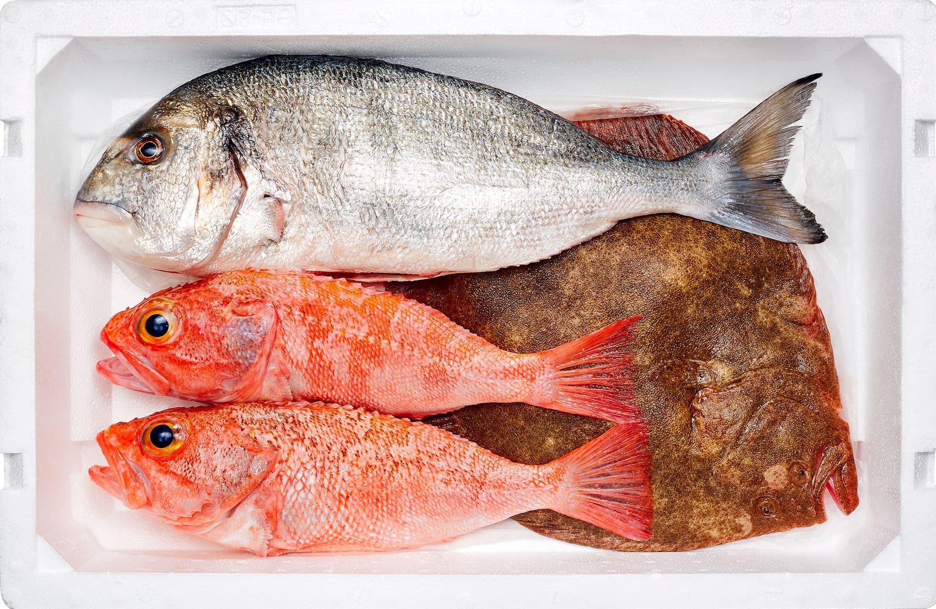 Cabaz Gastronómico Peixe Fresco | 3 Refeições para 4 pax