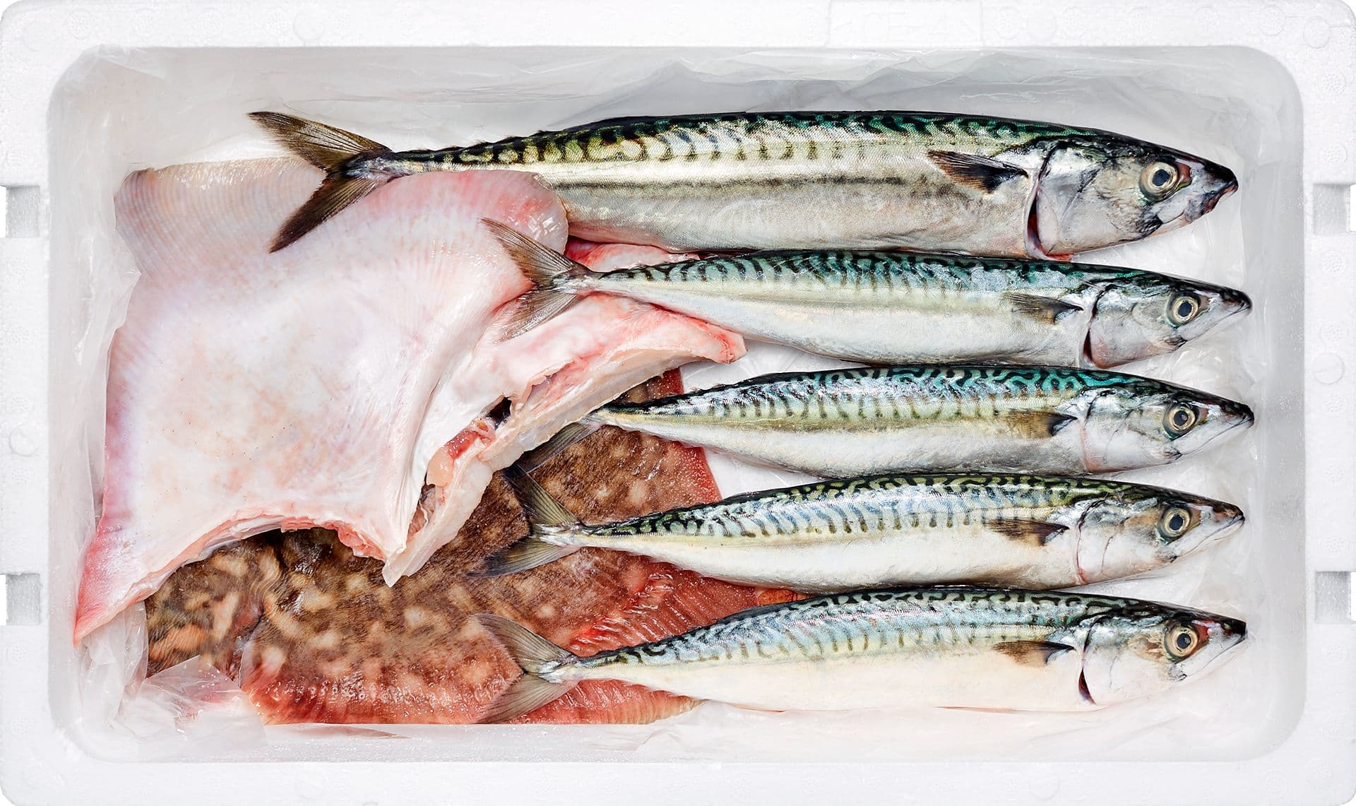 Cabaz Simples Peixe Fresco | 2 Refeições para 4 pax