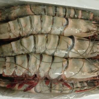 Camarão Tigre Nigéria 4/6 - Caixa 2kg