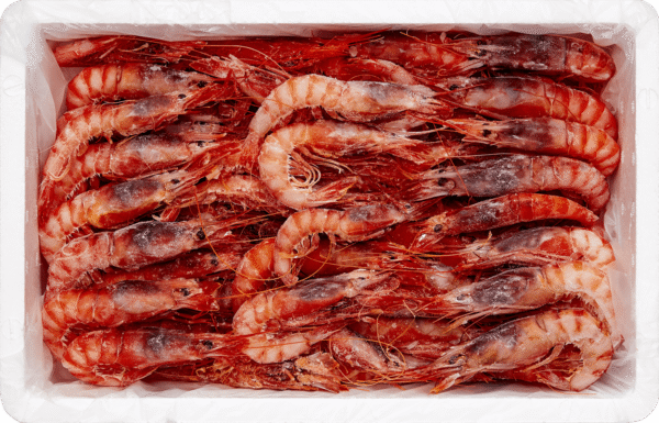 Camarão Vermelho do Algarve 40/50 pcs/kg - Caixa 800g