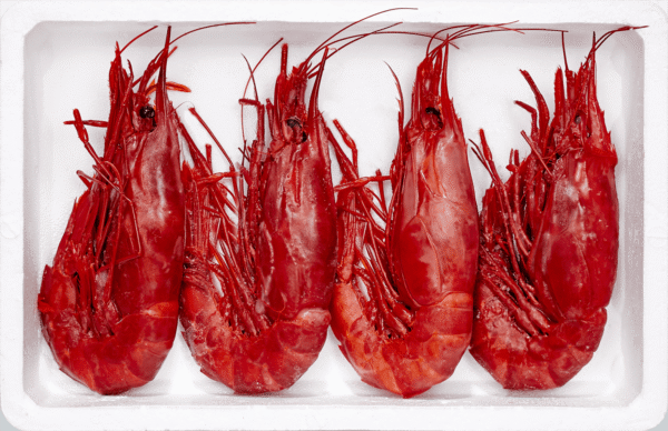 Carabineiro Gigante +140g - Caixa 4un