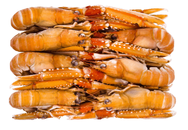 Lagostim Atlântico Norte nº2 (16-20 pcs/kg) - Caixa 1.5kg