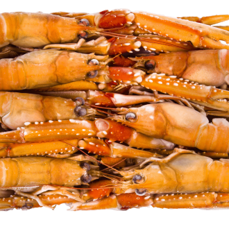 Lagostim Atlântico Norte nº0 (8-10 pcs/kg) - Caixa 1.5kg