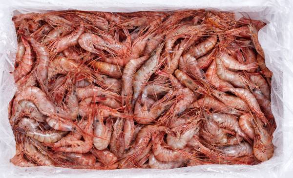 Camarão da Costa Cozido caixa 1kg