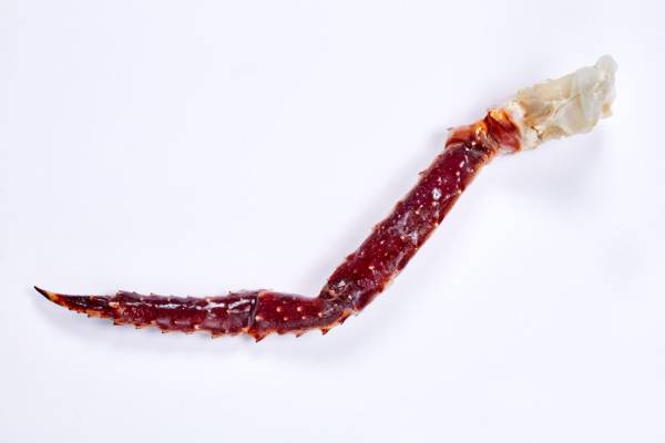 Caranguejo-Real, Pernas Individuais (150-200g/unid.)