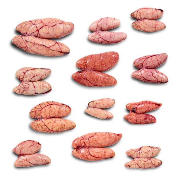 Ovas de Pescada (Kg)