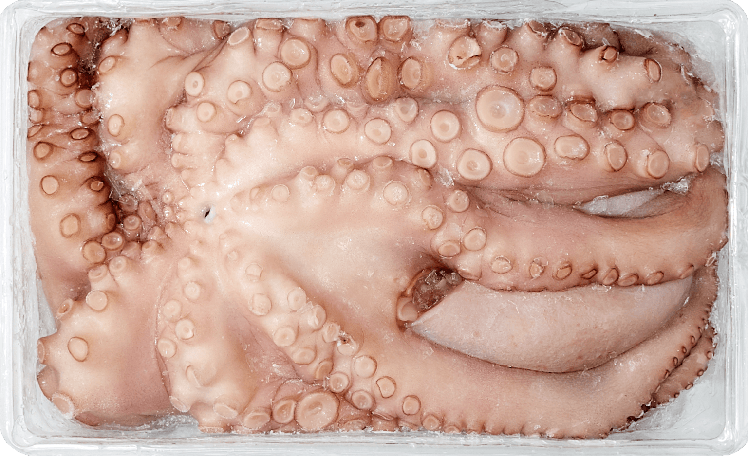 Polvo Nacional Inteiro 0.8-1.5 Kg