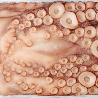 Polvo Nacional Inteiro 4-5kg