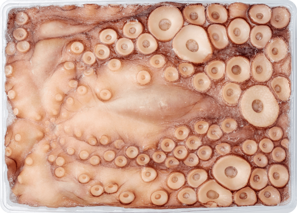 Polvo Nacional Inteiro 4-5kg