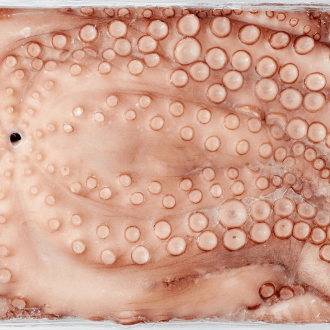 Polvo Nacional Inteiro 2-3kg