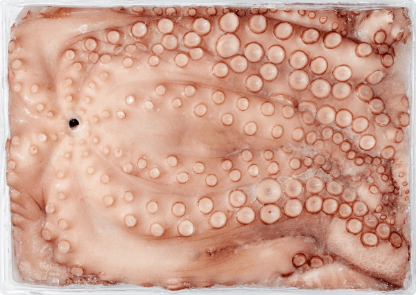 Polvo Nacional Inteiro 1.5-2kg